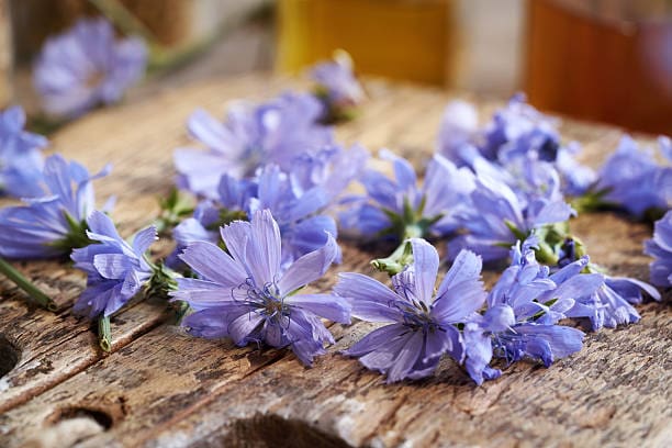 قیمت خرید عرق کاسنی اردو + فروش ویژه